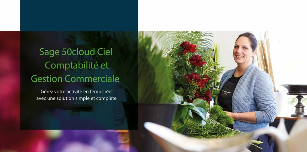 Sage 50cloud Ciel Comptabilité Et Gestion Commerciale, Gérez Votre ...